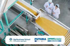 La Fondazione ITS Academy AgriPuglia cerca formatori