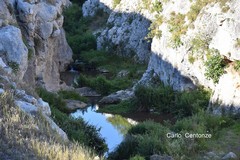 Gravina, Acquaviva e Alberobello nel percorso dell'acqua e del Sacro
