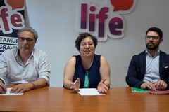 Randagismo: si allarga il canile sanitario
