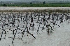Maltempo, la Regione chiede il riconoscimento dello stato di emergenza