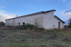 Apicultura nel bosco Difesa Grande