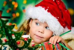 A Palazzo di città si guarda già al Natale