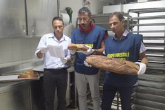 Falso pane di Altamura commercializzato in una catena di supermercati
