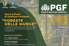 "Foreste delle Murge": Verso il Piano di Gestione Forestale