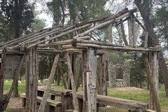 La Pineta, un bene pubblico bistrattato