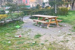 La pineta ridotta a discarica