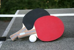 Il Tennis da Tavolo non coglie di sorpresa Gravina…