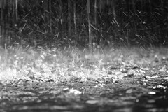 Allerta meteo, forti venti e pioggia