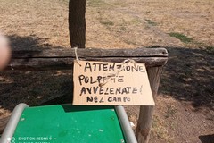 Polpette avvelenati nel parco di Via Alfieri