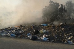 I reati ambientali