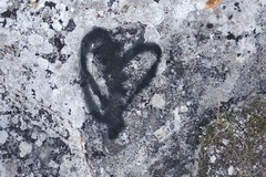 Gravina tra bellezza e inciviltà