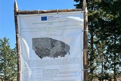 Rimboschimento, controreplica di Calculli e Quercia a Lagreca