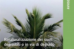 Rinaturalizzazione dei suoli degradati, bando della Regione Puglia
