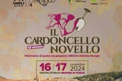 Il Cardoncello Novello - 12° edizione