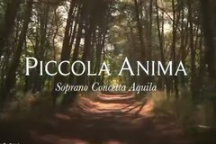 25 novembre, Giornata internazionale contro la violenza sulle donne