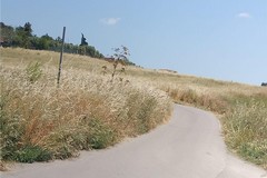 Periferie abbandonate, rischio incendi e sterpaglie alte