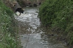 Inquinamento torrente Jesce, Puglia e Basilicata a lavoro per i depuratori