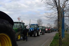 Consorzi di bonifica, i Comuni della Murgia sostengono gli agricoltori