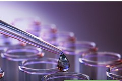 Tutela risorse idriche, un avviso della Regione