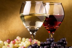 Il vino gravinese sbanca negli Stati Uniti