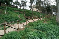 Poggiorsini: Passeggiata lungo il sentiero versante sud