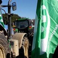 Gli agricoltori scendono in piazza per tutelare la categoria