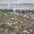 AAA cercasi decoro urbano a Gravina