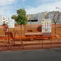 Al via i lavori nel campetto di via Alfieri