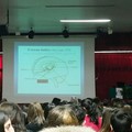 Alcol, fumo e droga: i rischi delle dipendenze tra i giovani