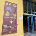 Agricoltura, “Bene Fiera San Giorgio: valorizzare sistemi regionali in Meridione "