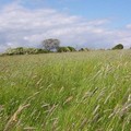 “Crescita e sviluppo del patrimonio rurale attraverso i finanziamenti pubblici del Gal Murgia Più”