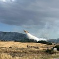 Cinque anni, zero incendi: il bosco Difesa Grande al sicuro anche nel 2026