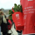 Torna la “Gardenia di AISM”