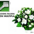 Gardenia dell’AISM