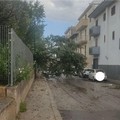 Bomba d’acqua su Gravina