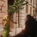 Albero della memoria sparito in via Libertà