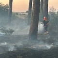 Piano AIB, terzo anno senza incendi