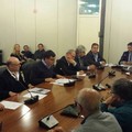 Cinghiali: confronto in regione