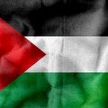 Condanna delle violenze in Palestina, Mozione Verna-Valente