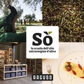 Sabato 10 febbraio, a Gravina si inaugura “Sò”, la scuola dell’olio extra vergine d’oliva del Frantoio Raguso