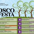 Tutta l'estate con l’edizione 2020 del “Bosco in festa” (da luglio a settembre)