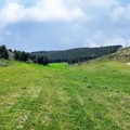 Parchi per il clima: oltre 3 milioni di euro al Parco dell'Alta Murgia