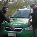 Caccia illegale nel Parco dell'Alta Murgia