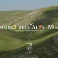 4° edizione del Cammino dell’Alta Murgia