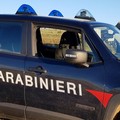 Controlli a tappeto negli agriturismi della Murgia