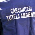 Rifiuti edili smaltiti illegalmente, due ditte di Gravina coinvolte in inchiesta a Matera