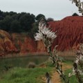 Scopri e fotografa il Patrimonio Geologico della Puglia