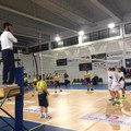 Casareale Volley Gravina, the show must go on: I gialloblù mettono ko anche il Castellana Grotte