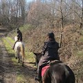Al via il progetto “Bosco: Natura e Avventura - Scoprilo a piedi, in bici e a cavallo”