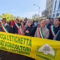 Coldiretti puglia, 5000 agricoltori e trattori in piazza a Bari